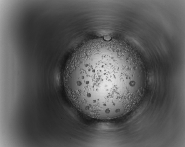X0000090410408200707201104