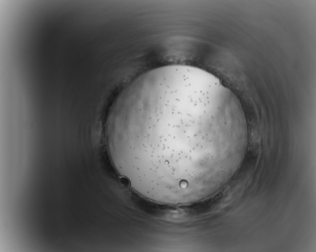X0000090410411200707201104