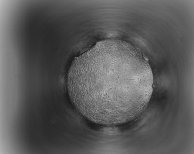 X0000090410415200707201104