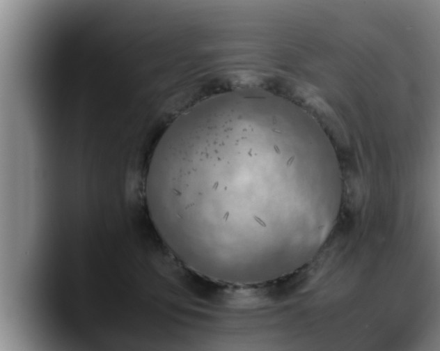 X0000090410419200707201104