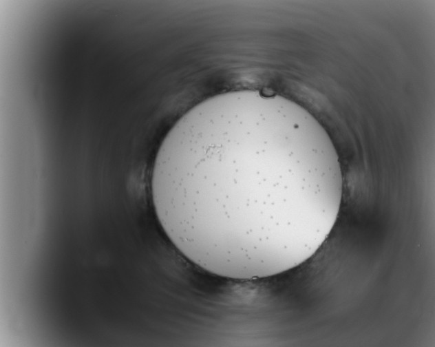 X0000090410423200707201104