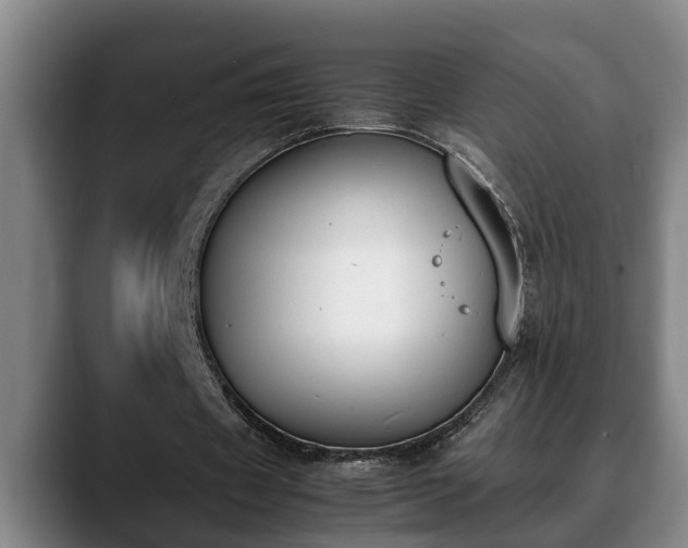X0000090410433200707201103
