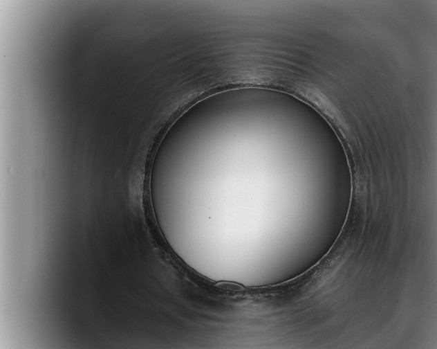 X0000090410434200707201103