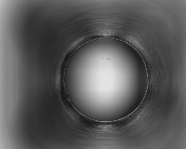 X0000090410440200707201103