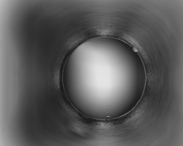 X0000090410442200707201103