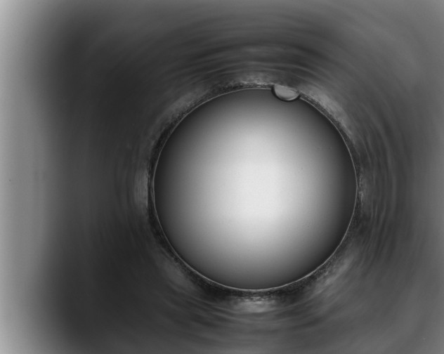 X0000090410445200707201103