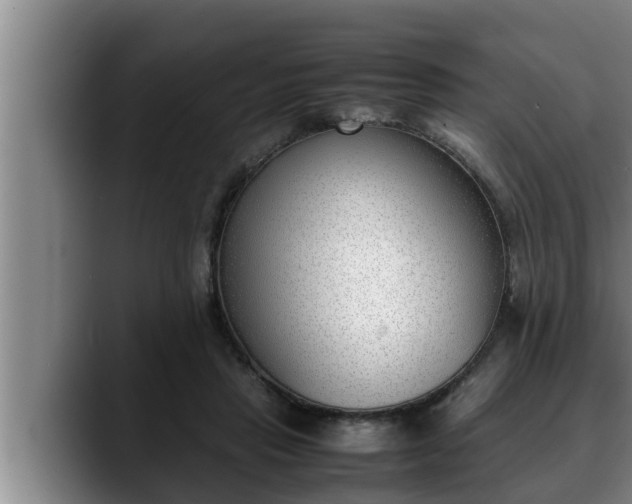 X0000090410453200707201103