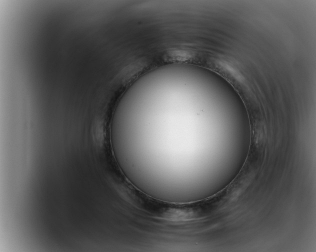 X0000090410455200707201103