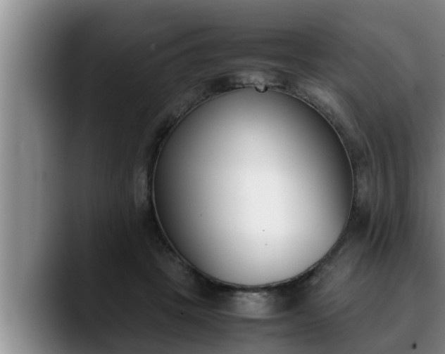 X0000090410457200707201103