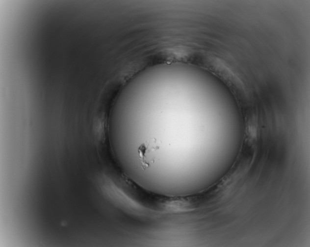 X0000090410468200707201103