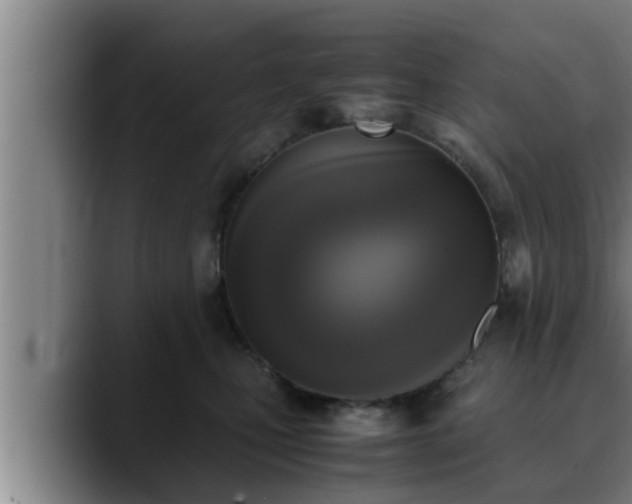 X0000090410471200707201103