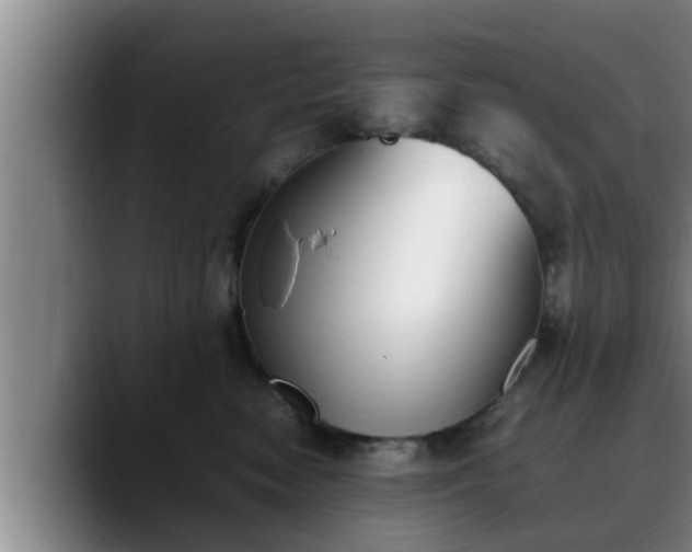 X0000090410474200707201103