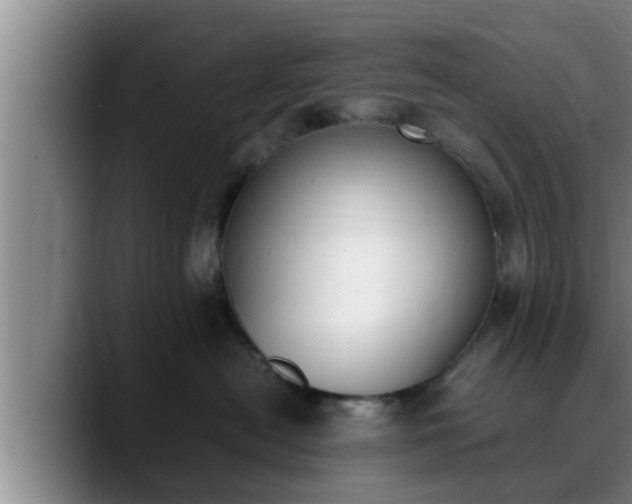 X0000090410478200707201103