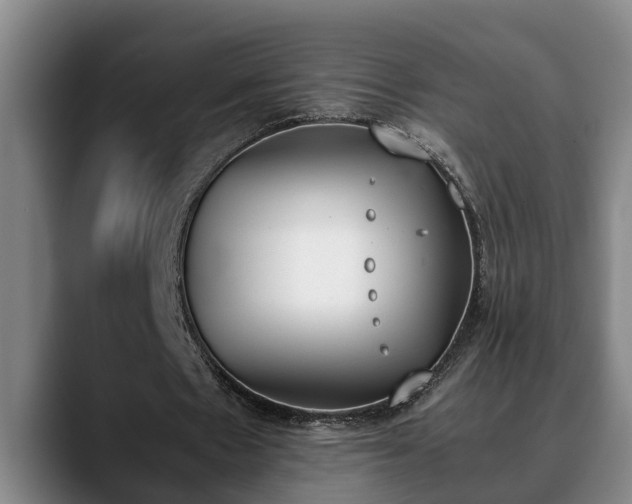 X0000090410481200707201103
