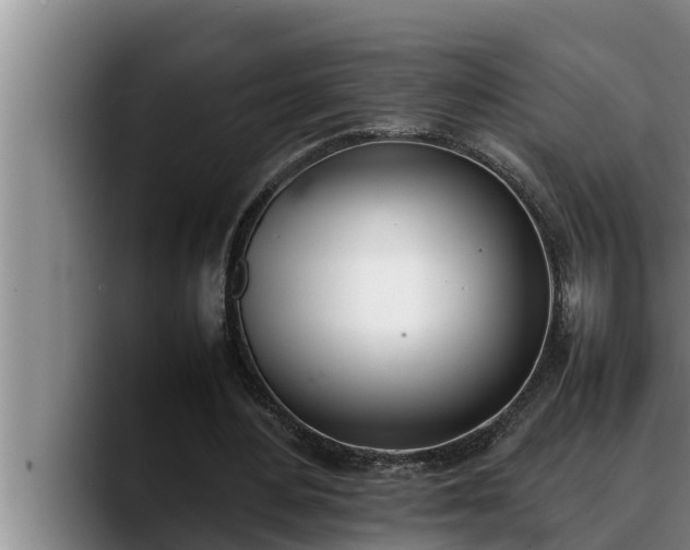 X0000090410484200707201103