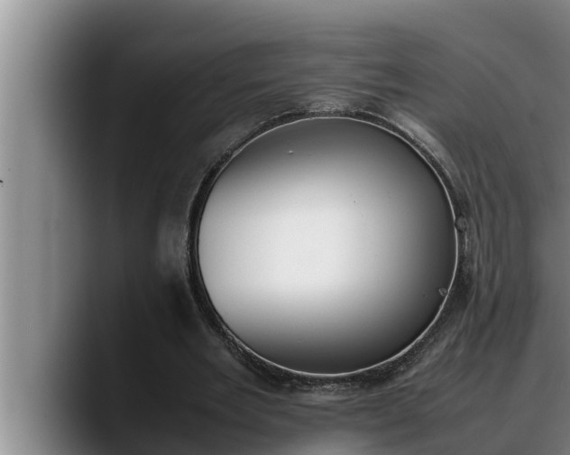 X0000090410485200707201103