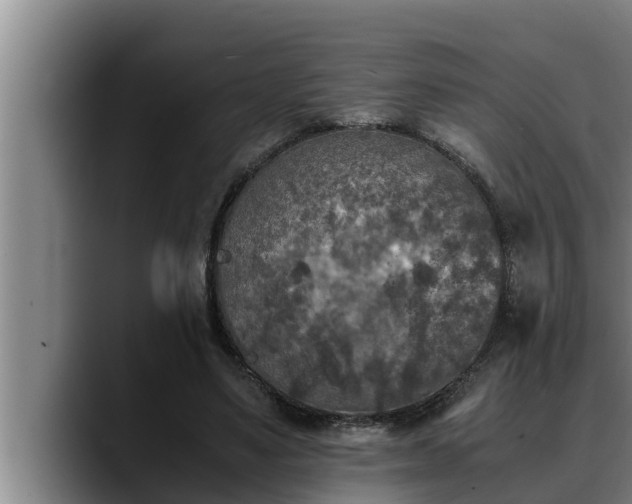 X0000090410491200707201103