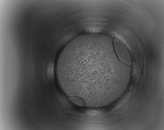 X0000090410494200707201103
