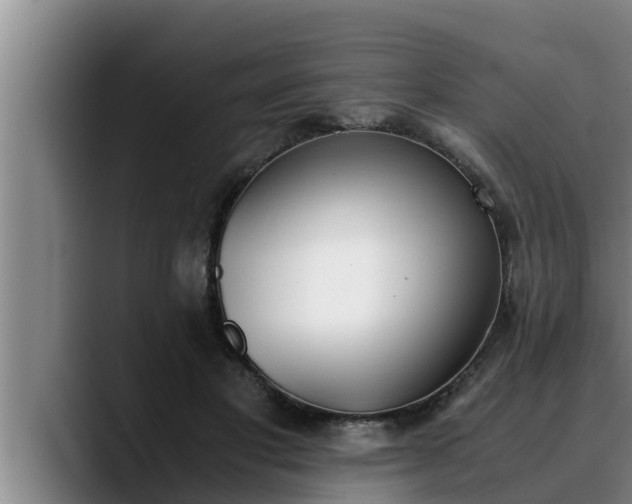 X0000090410501200707201103