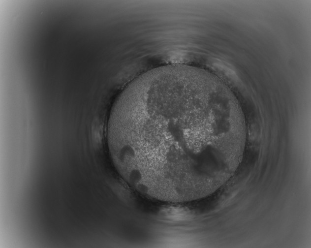 X0000090410503200707201103
