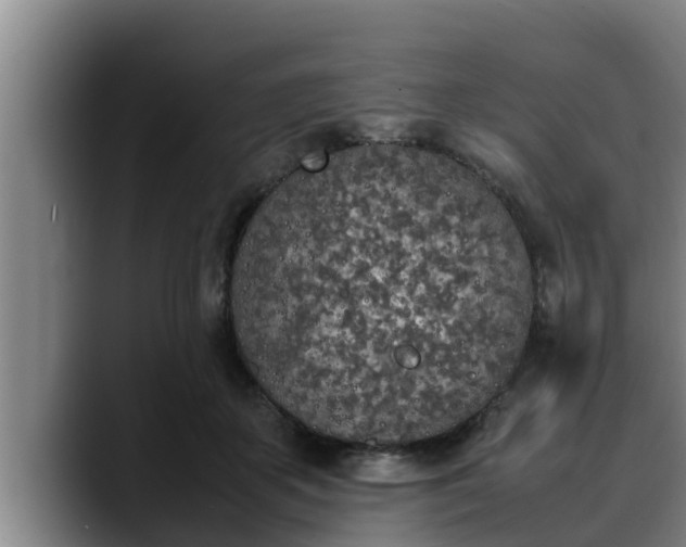 X0000090410507200707201103