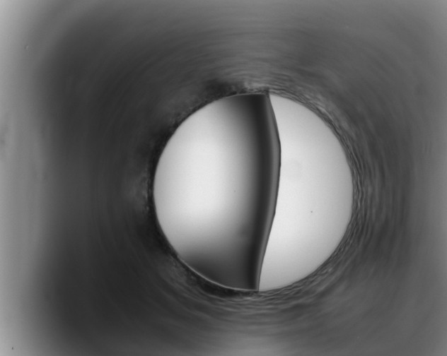 X0000090410509200707201103