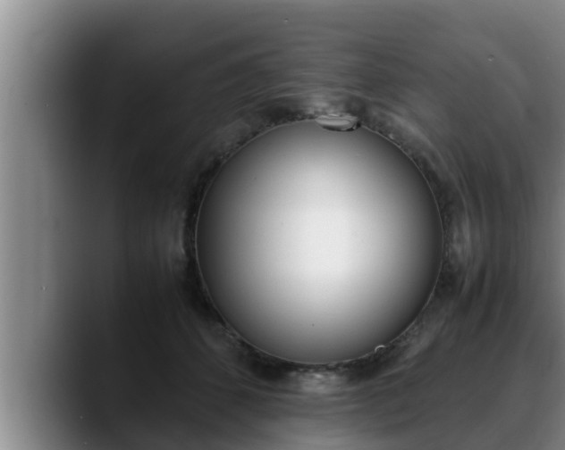 X0000090410512200707201102