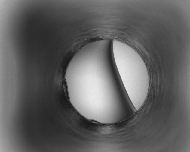 X0000090410513200707201102