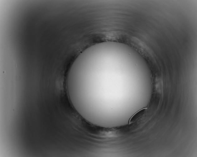 X0000090410514200707201102