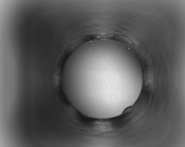 X0000090410515200707201102