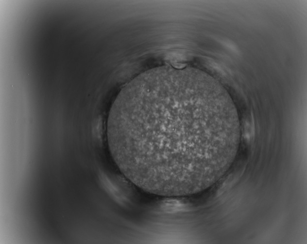 X0000090410519200707201102