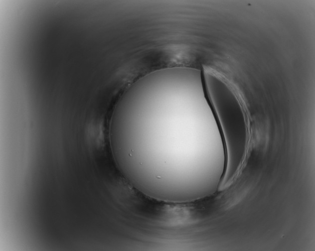 X0000090410520200707201102