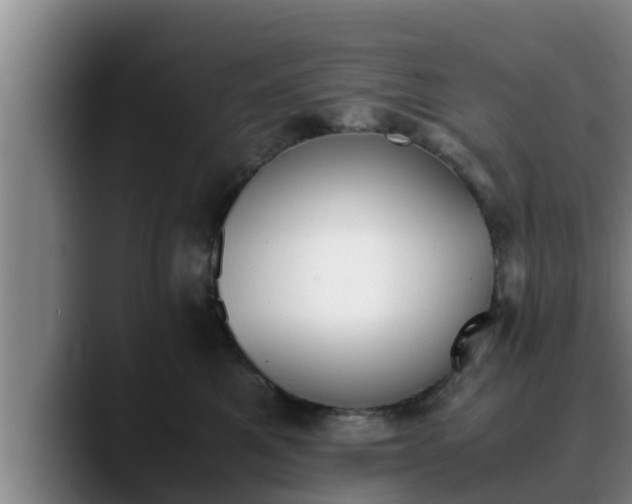 X0000090410521200707201102