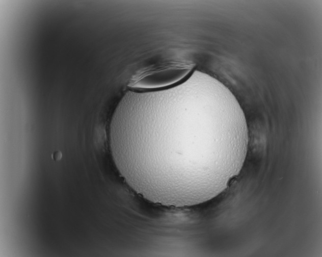 X0000090410523200707201102