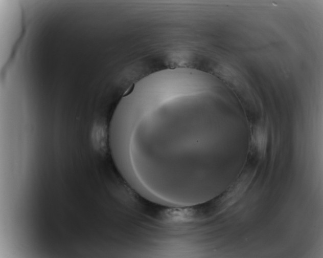 X0000090410526200707201102