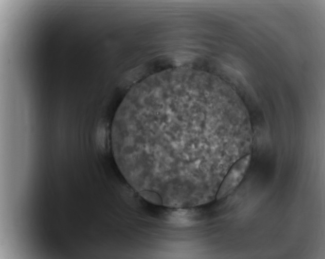 X0000090410527200707201102