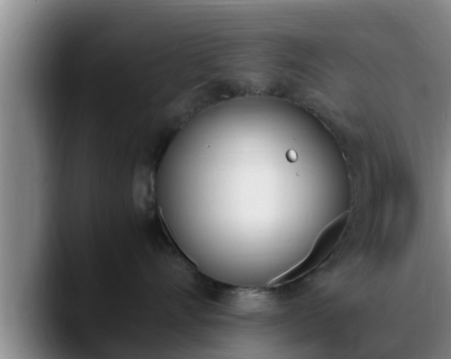 X0000090410528200707201102