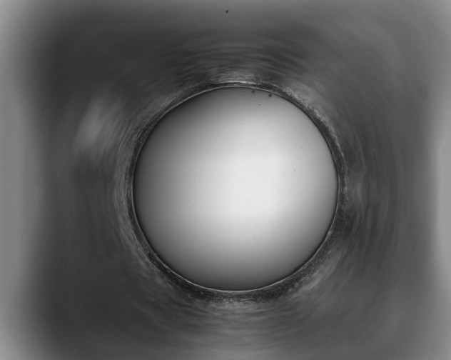 X0000090410529200707201102