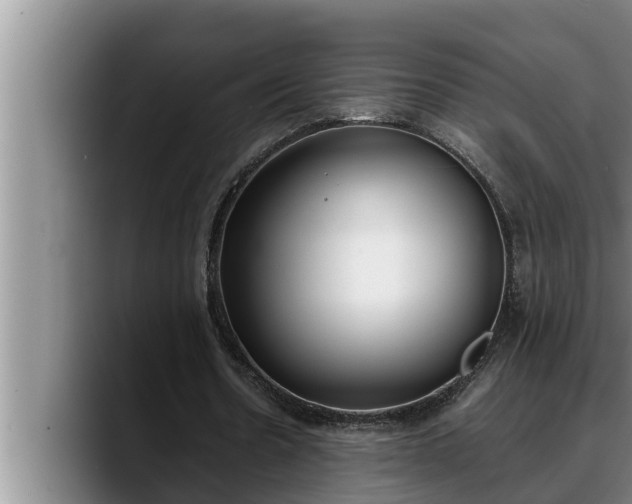 X0000090410530200707201102