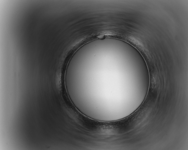X0000090410535200707201102