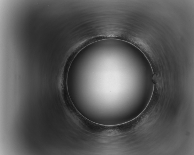 X0000090410536200707201102