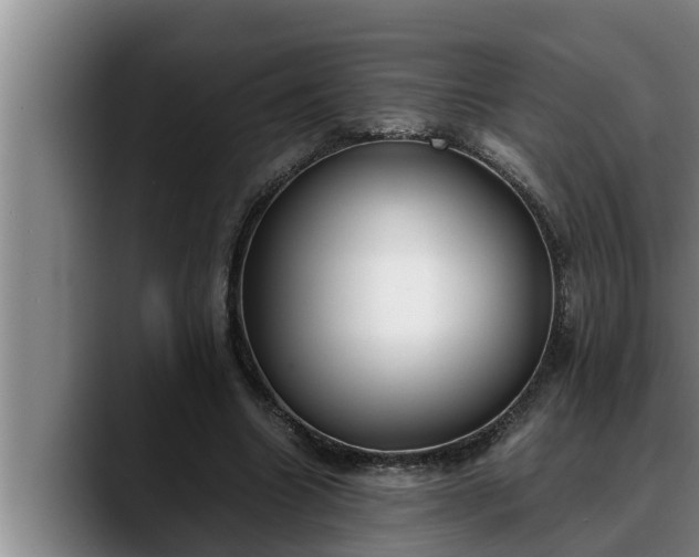 X0000090410538200707201102