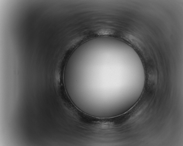 X0000090410539200707201102