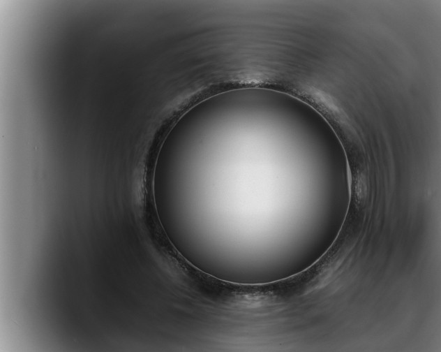 X0000090410540200707201102