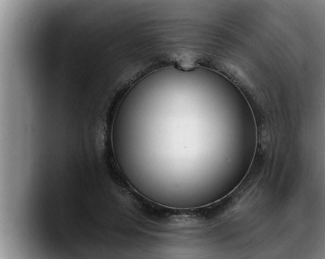 X0000090410544200707201102