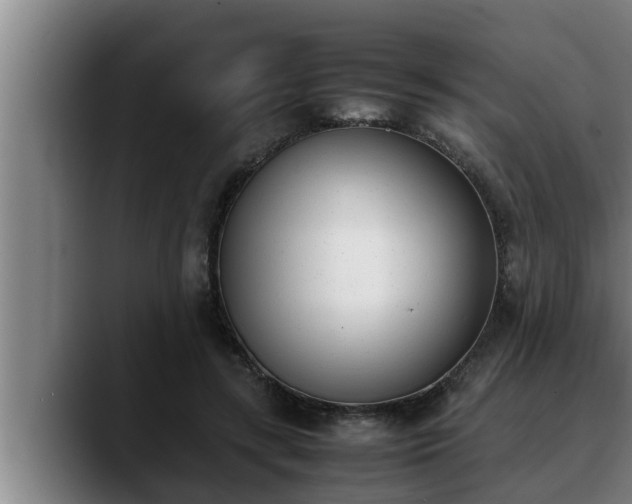 X0000090410547200707201102