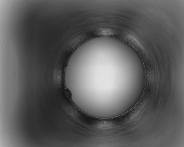 X0000090410549200707201102
