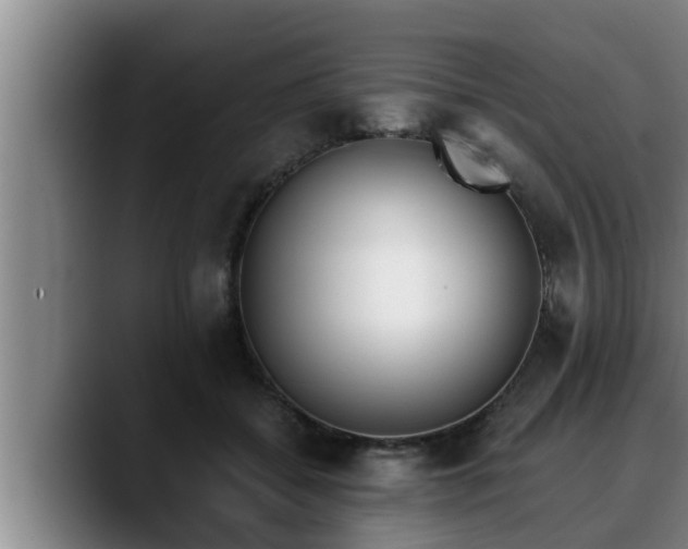 X0000090410556200707201102