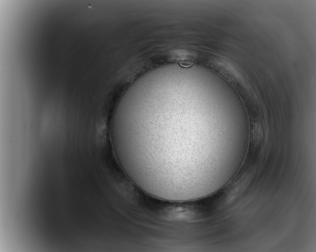 X0000090410557200707201102