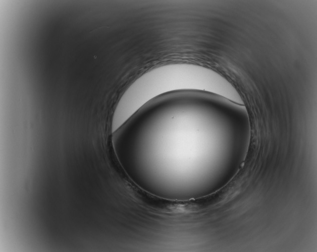 X0000090410558200707201102